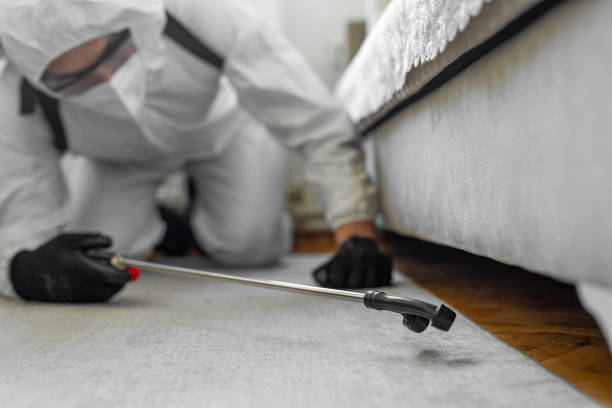 Professional Pest Control technician working in Phoenix, OR
