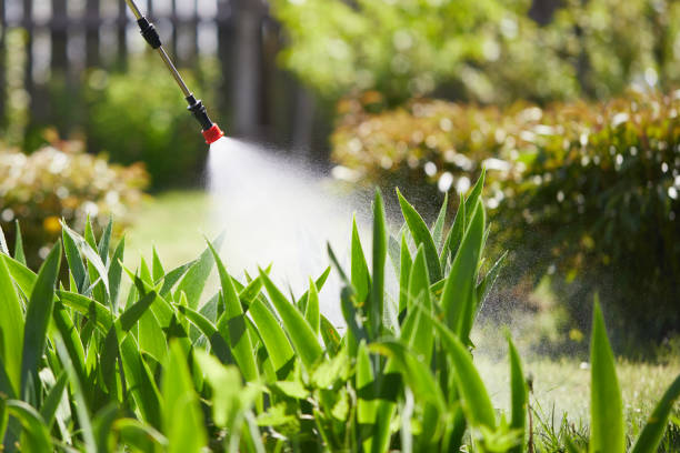 24/7 Emergency Pest Control experts in Phoenix, OR